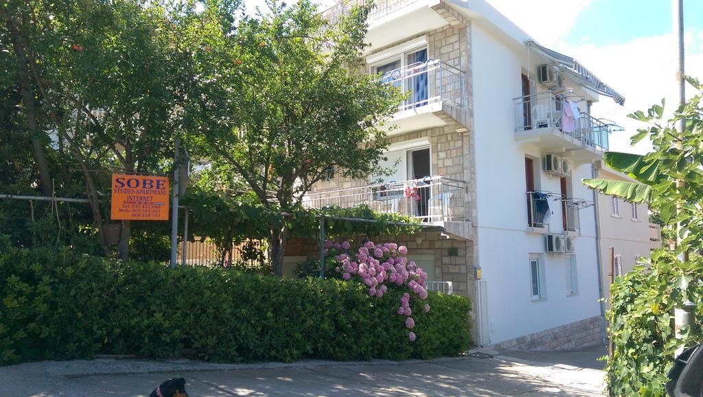Vucicevic 3*